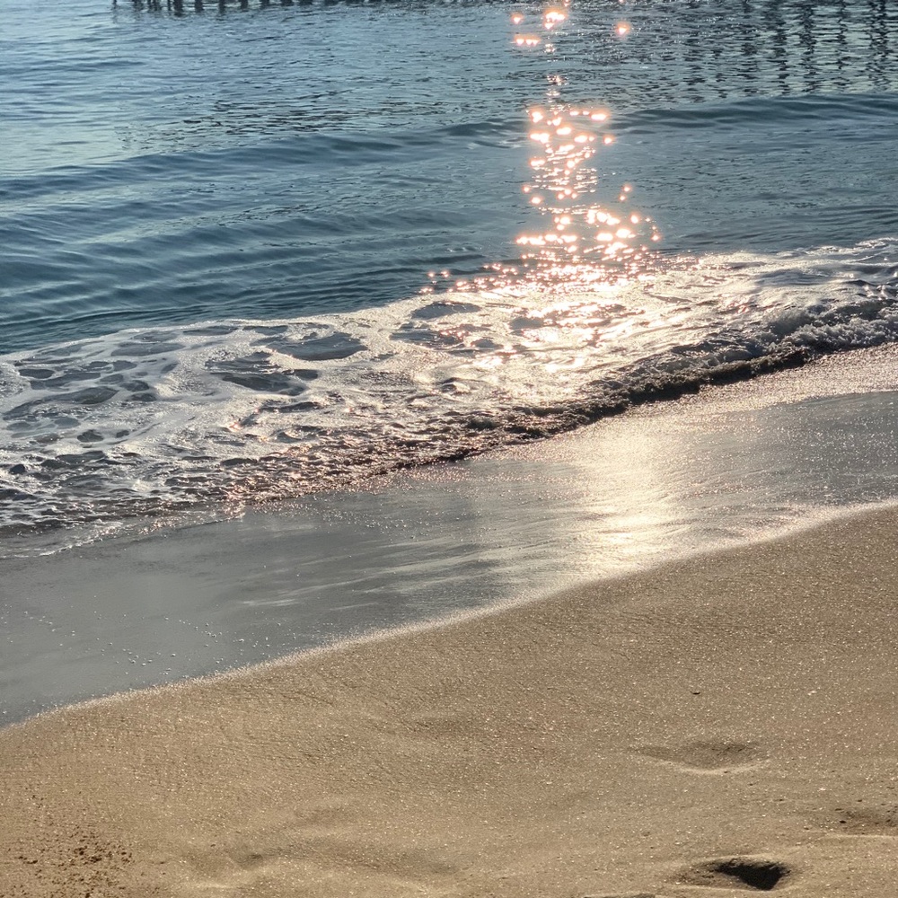 Meet your Posher, Simo